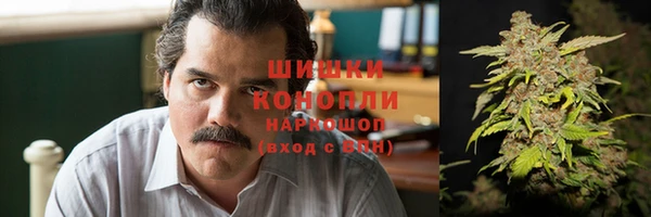 СК Богородск