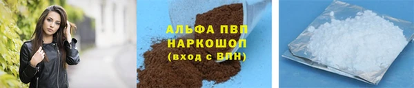 СК Богородск