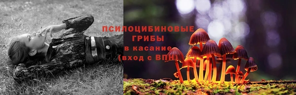 СК Богородск