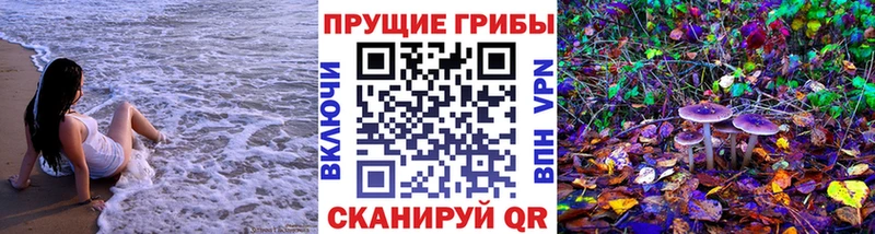 Псилоцибиновые грибы мухоморы Вятские Поляны